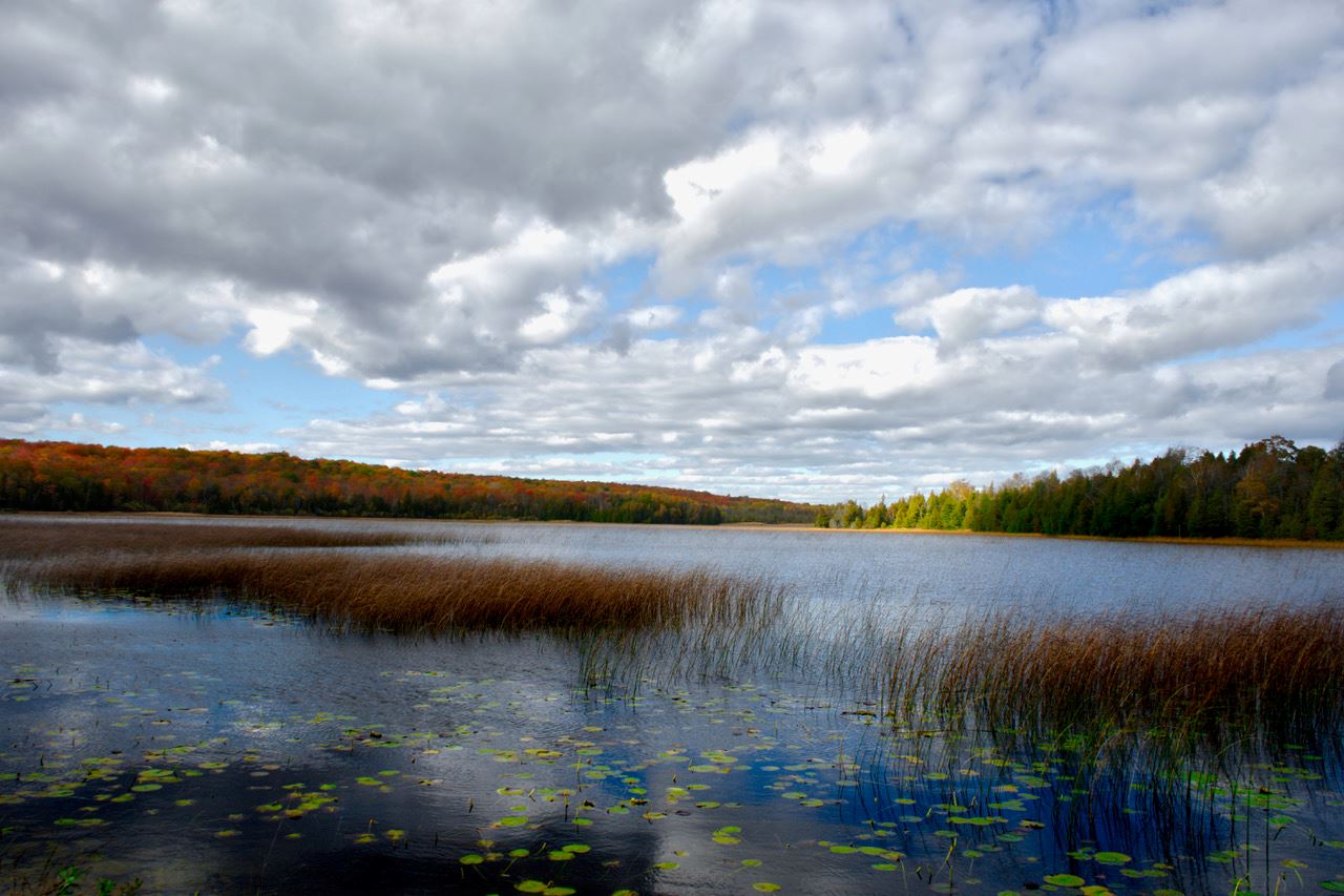 Pond and Sky