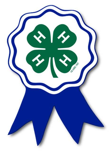4H Ribbon