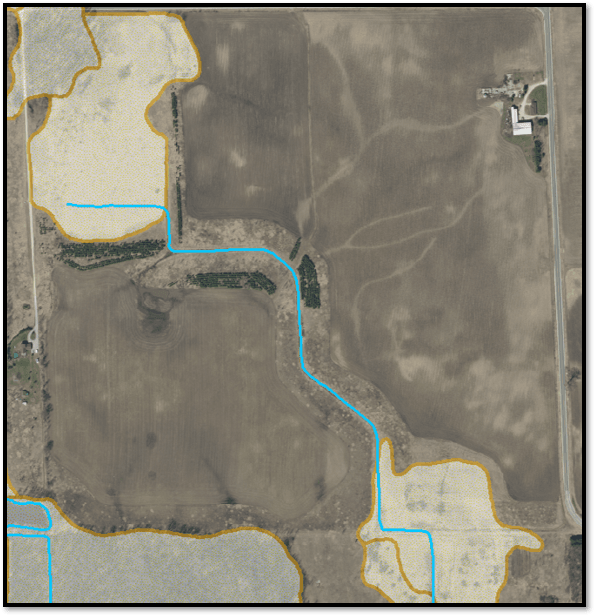 Riparian Buffer Photo 1